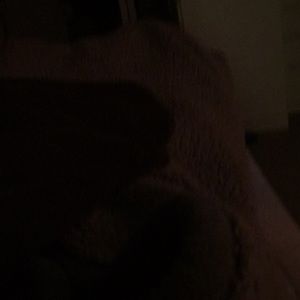 Meet your Posher, Carla